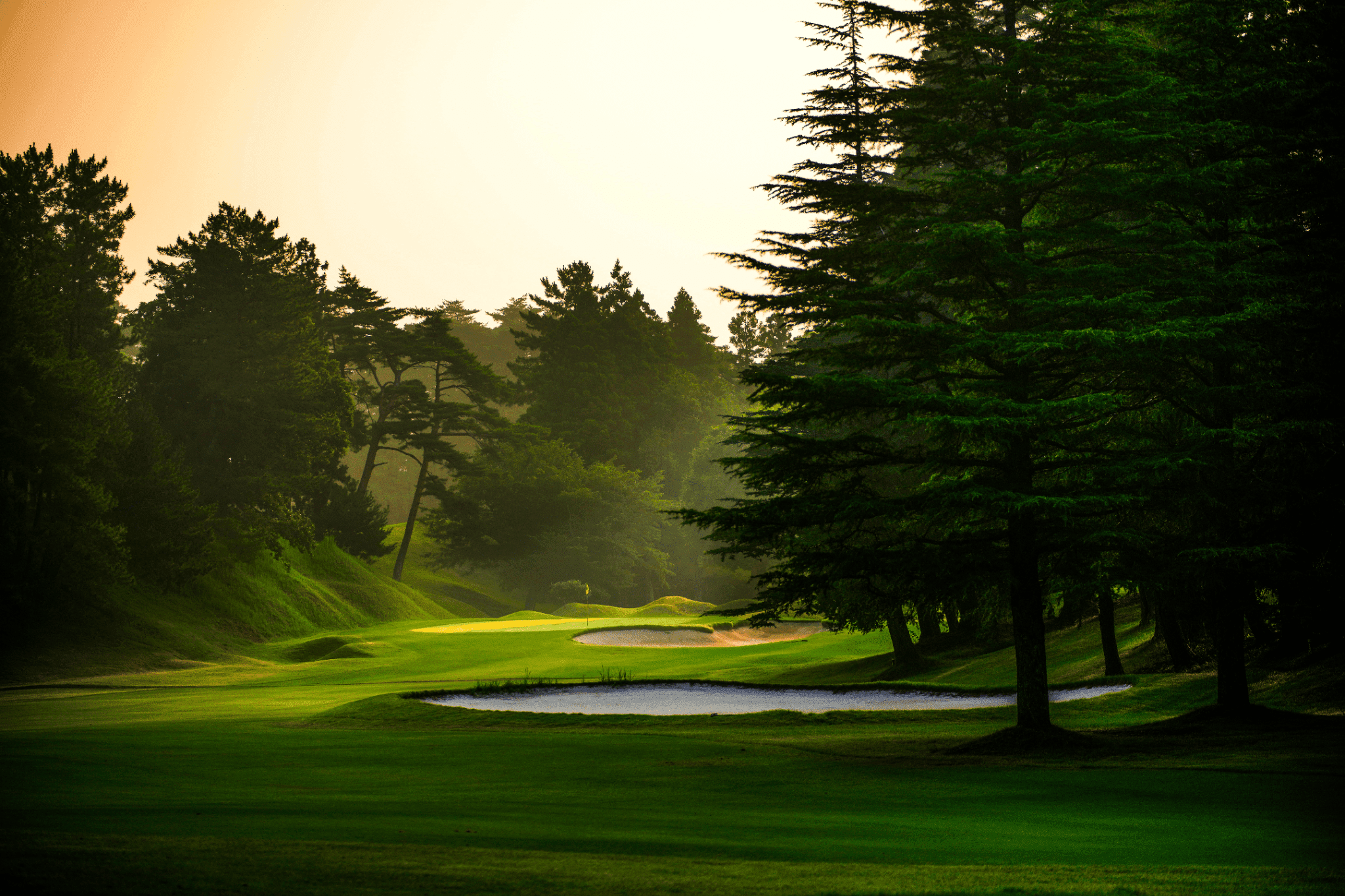 本千葉カントリークラブ【公式】 ナビゲーション写真