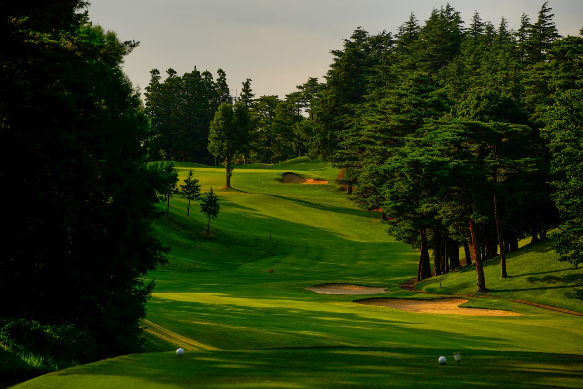 本千葉カントリークラブ【公式】 ナビゲーション写真